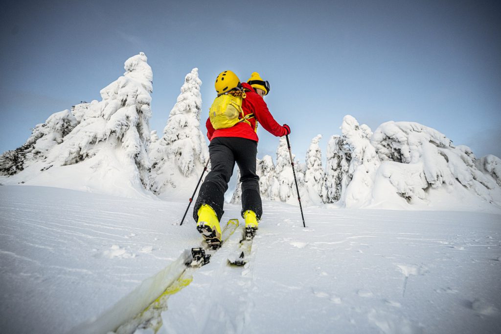 Charakterystyka nart skiturowych